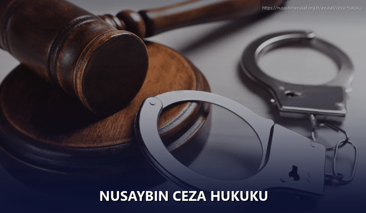 Nusaybin Ceza Hukuku
